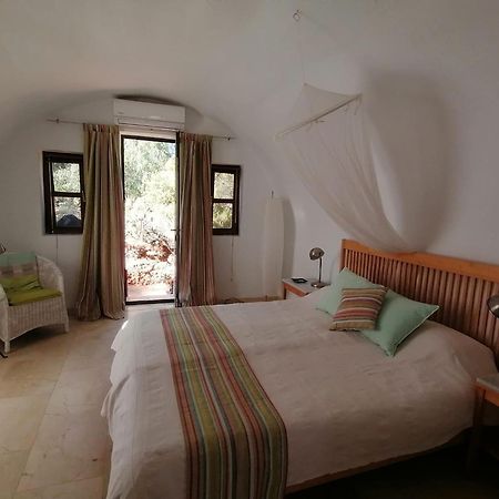 El Jardin De Los Suenos Rodalquilar Ngoại thất bức ảnh