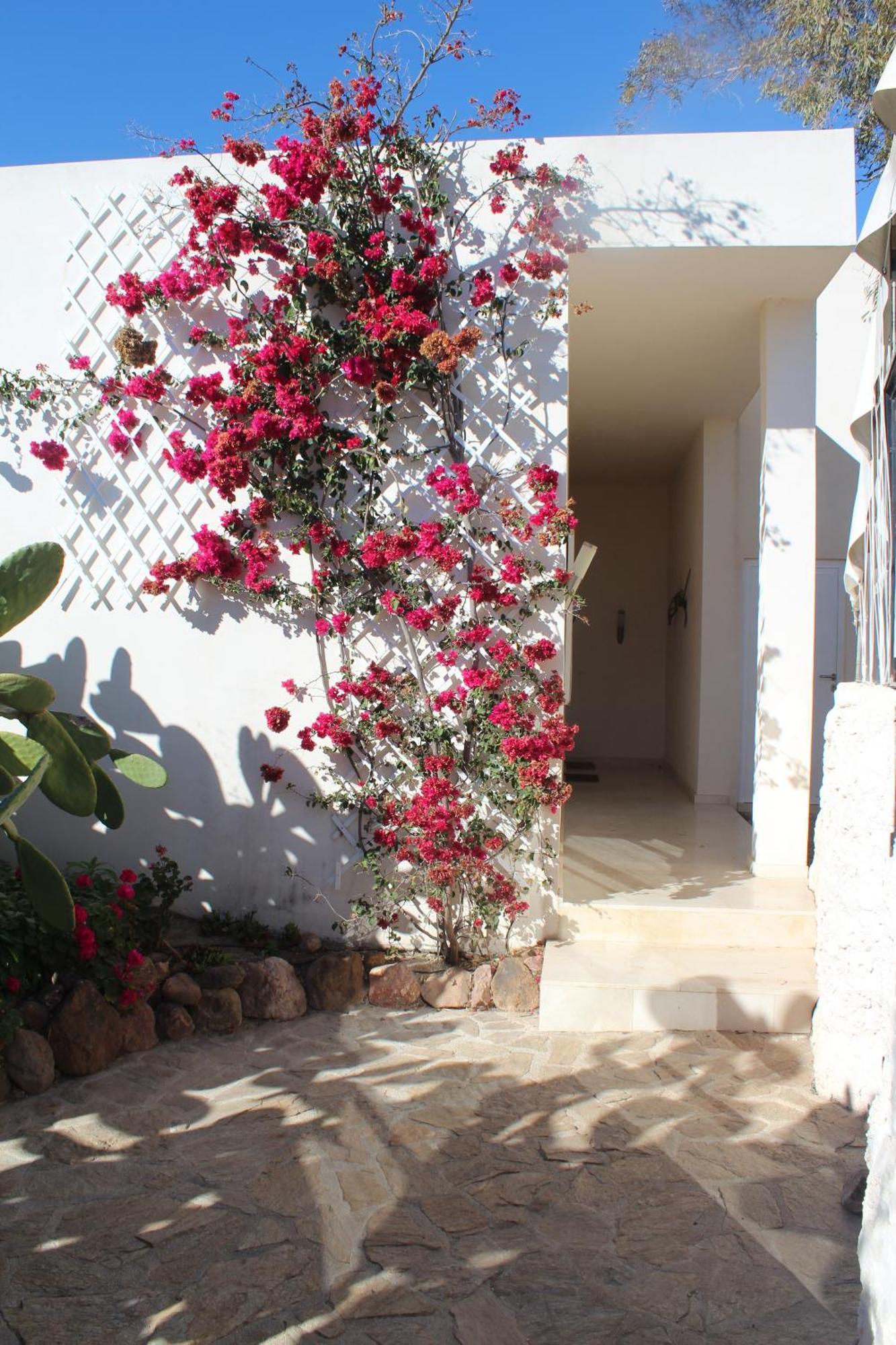El Jardin De Los Suenos Rodalquilar Ngoại thất bức ảnh
