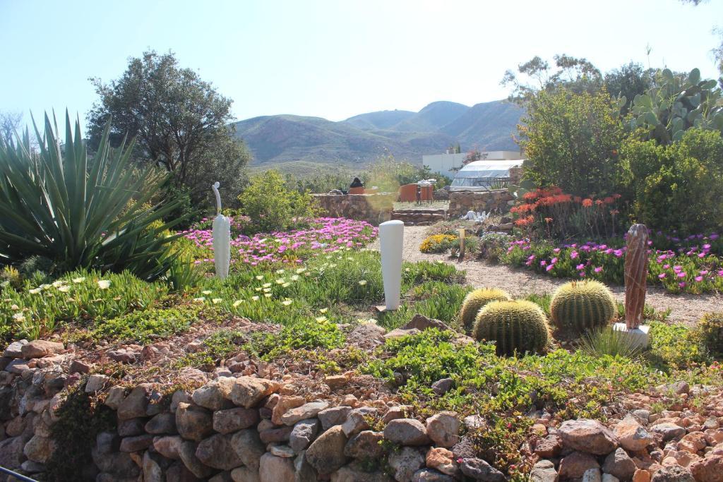 El Jardin De Los Suenos Rodalquilar Ngoại thất bức ảnh